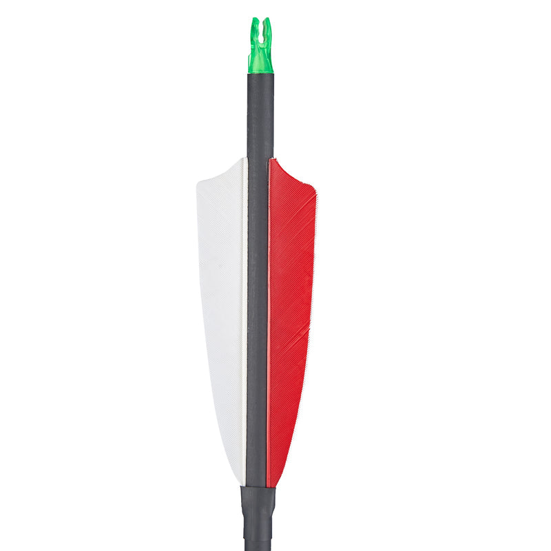 12pcs Archery 30.5" Carbon Arrows with 4 inch Turkey Feather Spine 600 for Recurve Compound Bow
