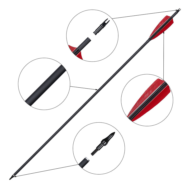 12pcs Archery 30.5" Carbon Arrows with 4 inch Turkey Feather Spine 600 for Recurve Compound Bow