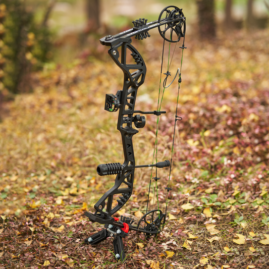 Adults Beginner Compound Bow Set RH Hunting Bow 30-70lbs