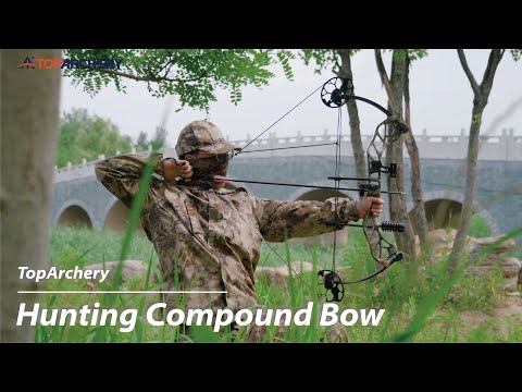 Adults Hunting Compound Bow 19-70lbs Left Right Hand Beginner Outdoor Shooting