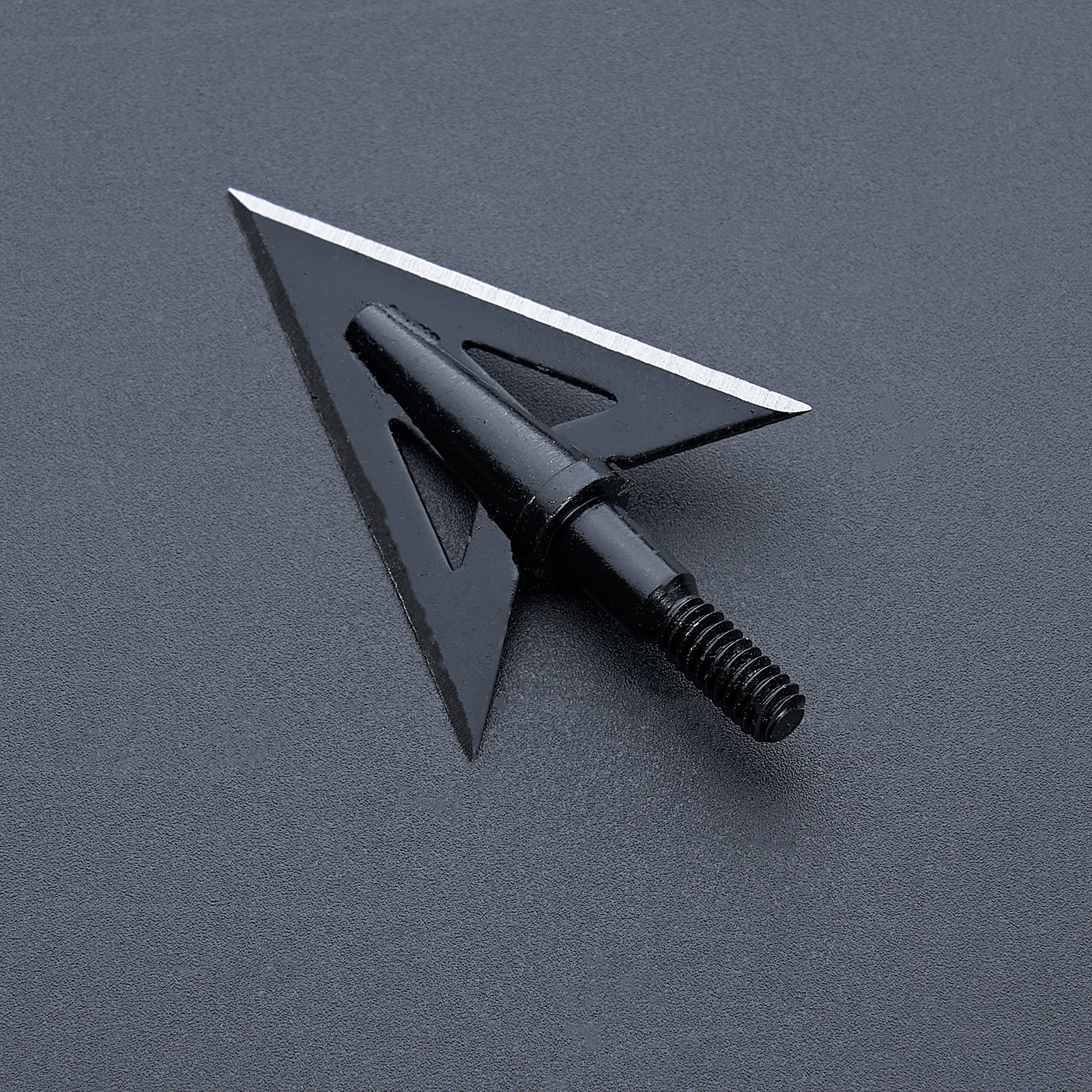 12Pcs Hunting Broadheads 100Grain Archery Arrow Heads Thread Screw-in ...