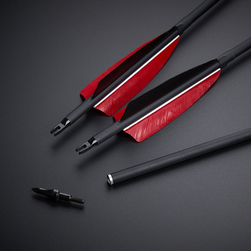 12pcs Archery 30.5" Carbon Arrows with 4 inch Turkey Feather Spine 600 for Recurve Compound Bow