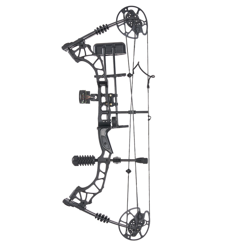 Adults Compound Bow Set Beginner Hunting Bow 30-70lbs Right Hand Black
