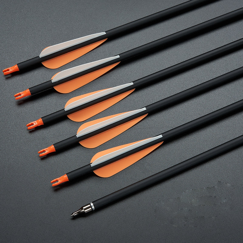 12pcs Archery 30" Fletched Carbon Arrows ID 6.2mm with Replaceable Arrowheads for Recurve Compound Bow