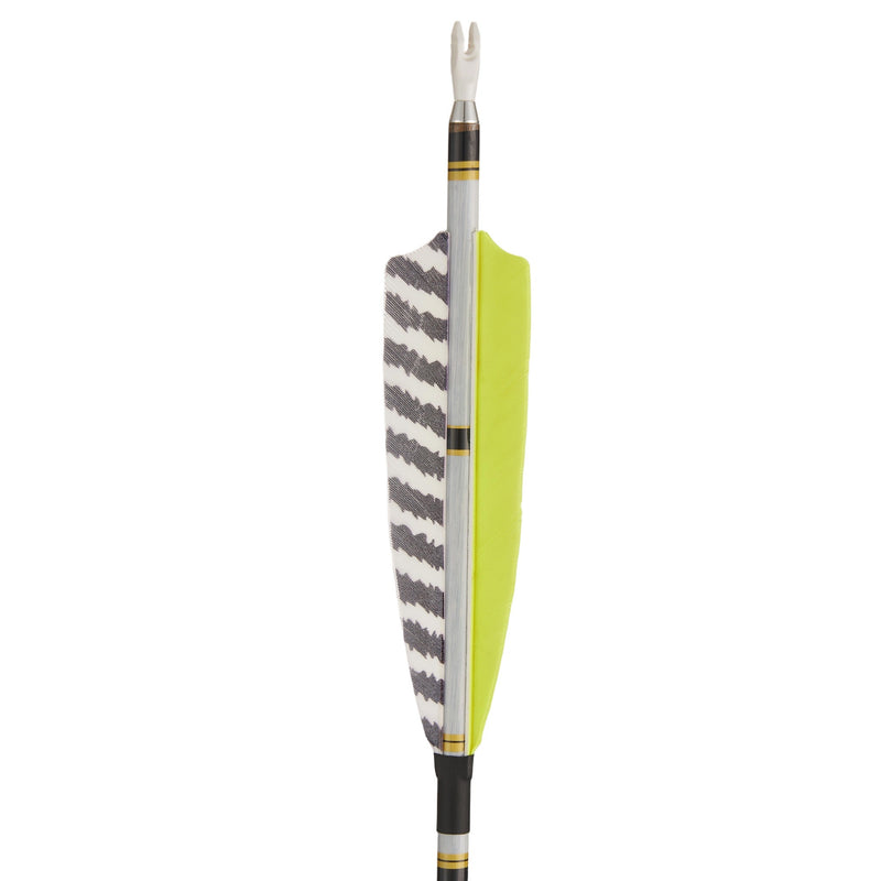 12pcs 31" Archery Pure Carbon Arrows Turkey Feather Fletched Spine 300-600