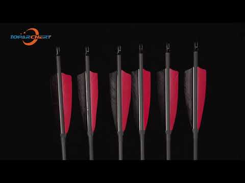 12pcs Archery 30.5" Carbon Arrows with 4 inch Turkey Feather Spine 600 for Recurve Compound Bow