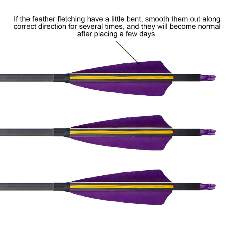 12Pcs 31" Pure Carbon Arrows Straightness 0.003 Spine 400 Turkey Feather Archery Shooting Arrows