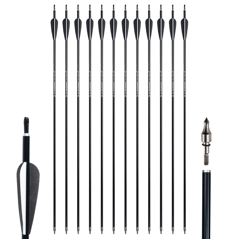 Aluminum Archery Arrows 12 Pack 31.5" Spine 550 for Recurve/Compound Bows