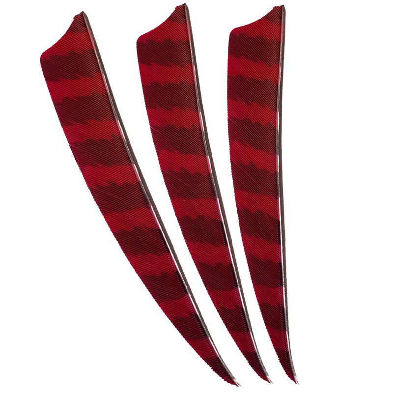 50Pcs Archery Turkey Feather Fletching 4 Inch Right Wing for Hunting Arrow Accessories