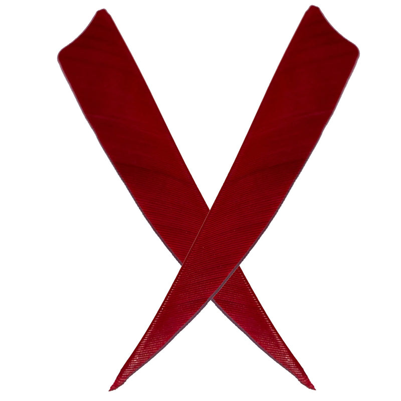 50Pcs Archery 4/5 Inch Turkey Feather Fletching Right Wing Red