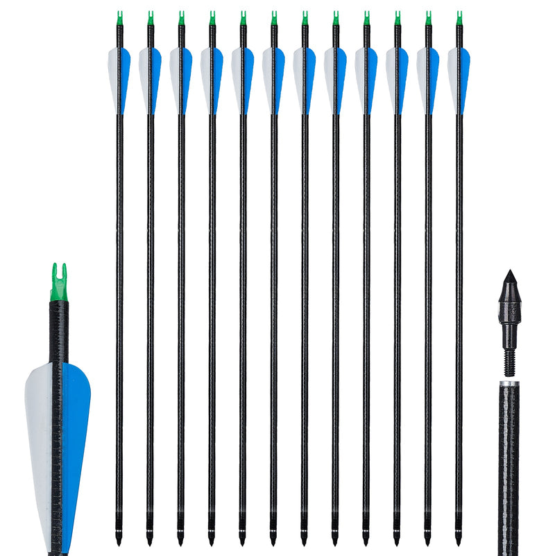 12pcs 32" Archery Fiberglass Arrows for Recurve Compound Bow Target Practice Arrows with Replaceable Tips