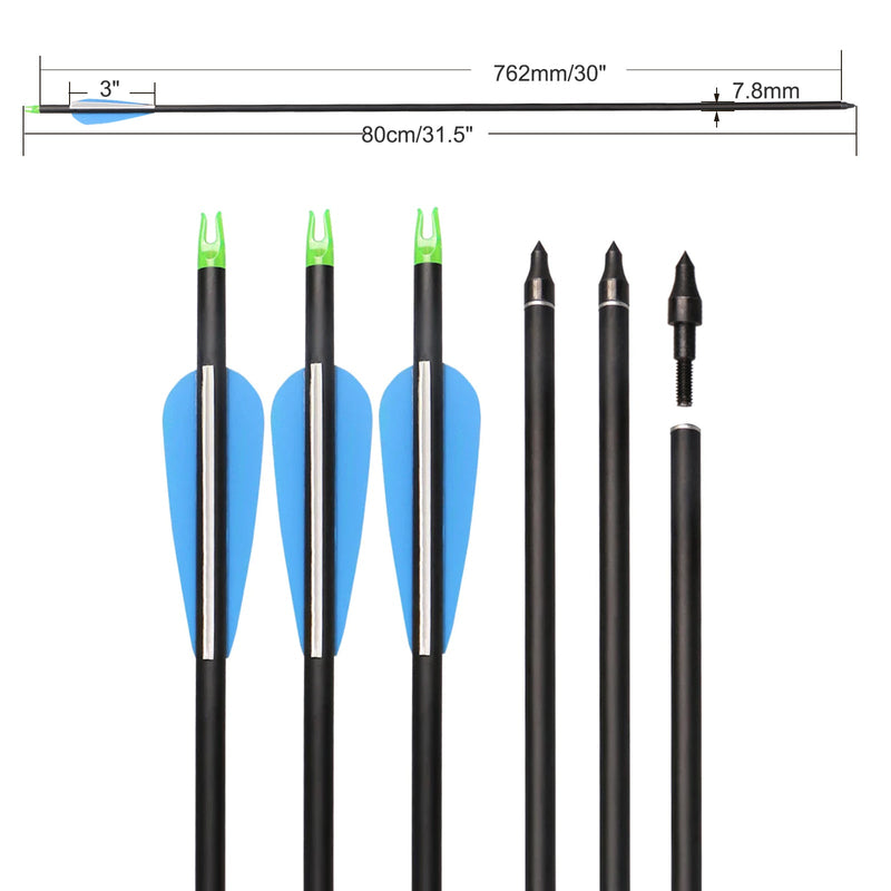12pcs Archery 30" Fletched Carbon Arrows ID 6.2mm with Replaceable Arrowheads for Recurve Compound Bow