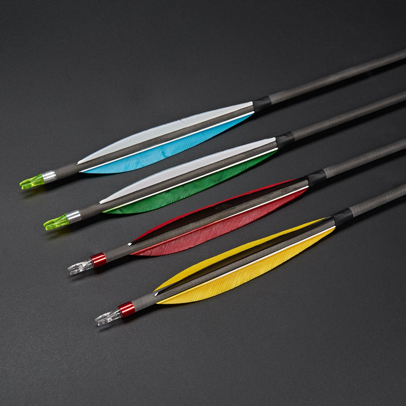 12pcs Archery 30" Carbon Arrow Spine 350 with 6inch Turkey Feather For Recurve Bow Outdoor Shooting Practice Hunting Arrow