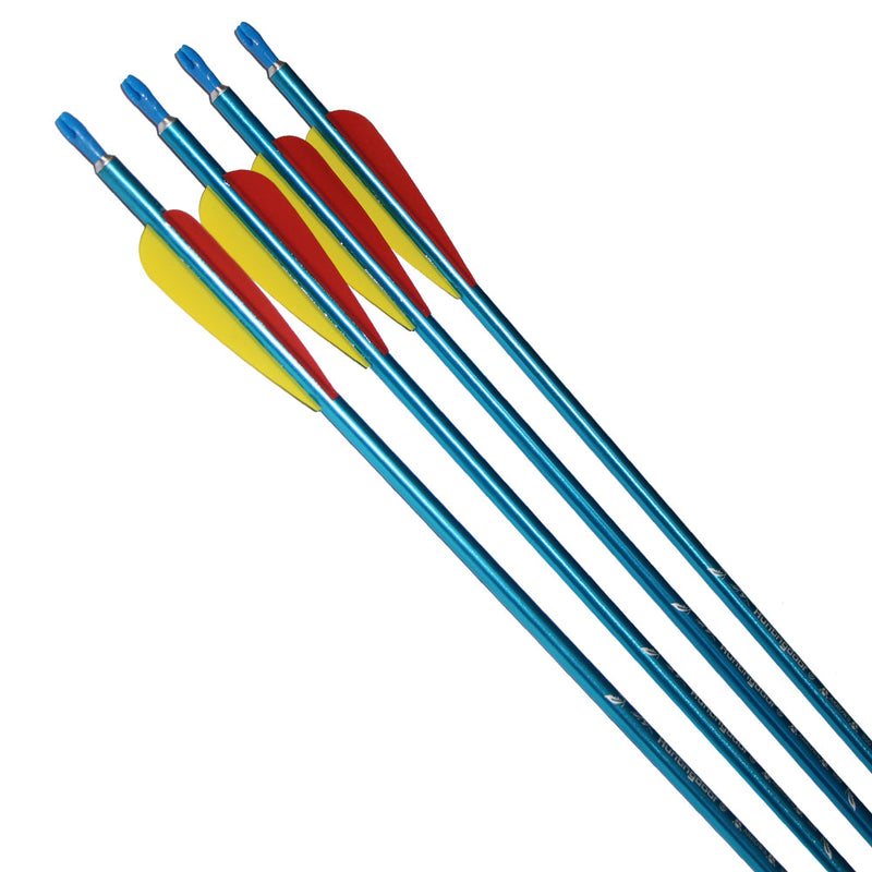 6pcs 31 Inch Aluminium Arrows Archery Hunting Targeting Practice Arrow
